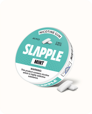 Mint | Nicotine Gum | Single Pack - 40 PCS